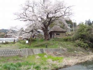 すぐ側を川がながれています