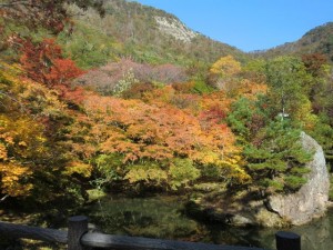 鏡池と青ぞら　紅葉の色が映えて