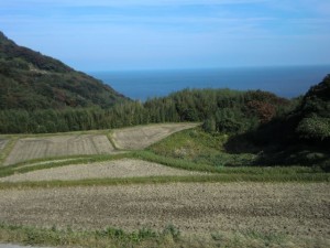 岩首　海と田んぼ