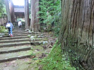 石段の参道