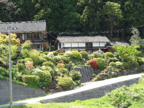 通りから見える花の家