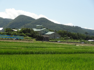 稲　山　空