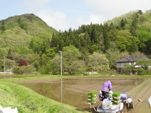 山は　新緑