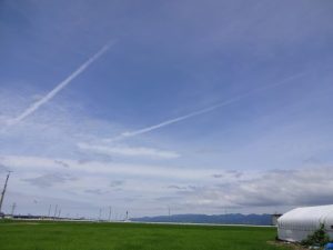 青い空　緑の稲田