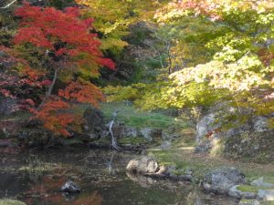 池　を　トントン渡って