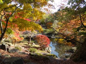 池の静けさ