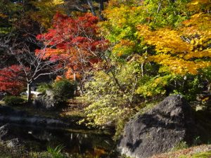 岩と紅葉