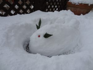 雪うさぎ