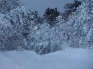 雪の山道