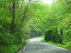 くねくね　山道