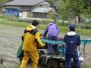 田植え