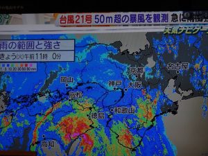 大雨　と　台風