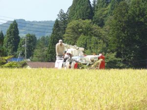 コンバインで　さあ開始