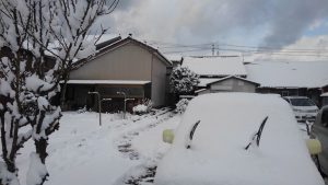 雪ダルマ