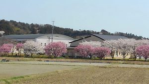 校庭に