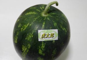 虎太郎