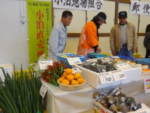 海草　野菜　さざえ＆あわび　